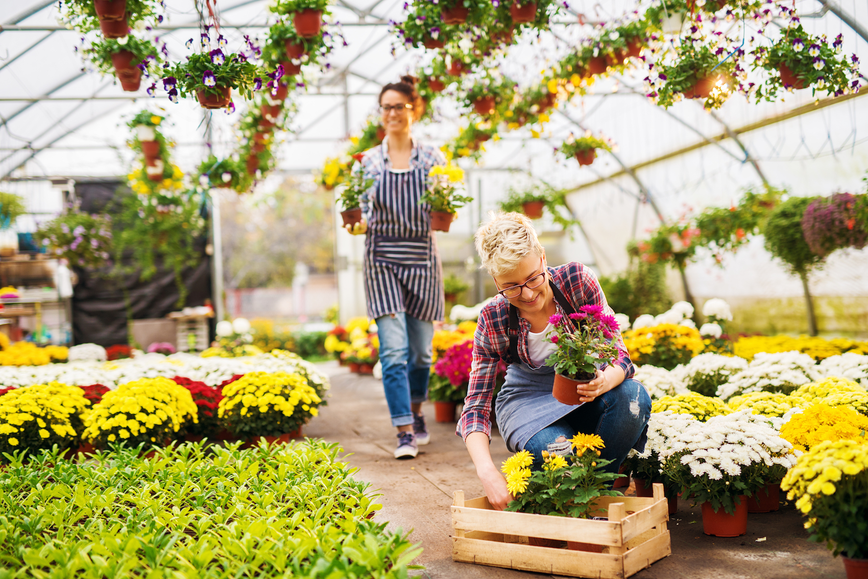 Tips-for-Starting-Your-Own-Horticulture-Business